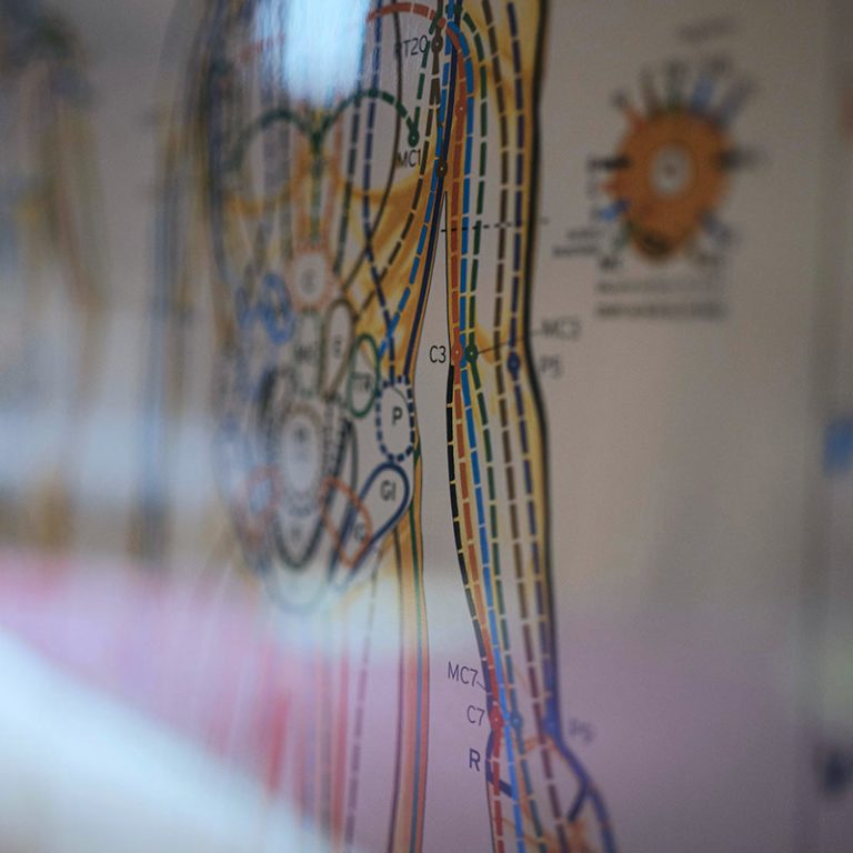 Anatomisk bild över människokroppen